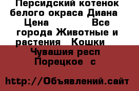 Персидский котенок белого окраса Диана › Цена ­ 40 000 - Все города Животные и растения » Кошки   . Чувашия респ.,Порецкое. с.